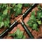 Rain Bird Rain Bird 1/2 in. Barbed Drip Irrigation Tee 4 pk BT50/4PKS - alternate 2